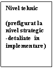 Text Box: Nivel tehnic

(prefigurat la nivel strategic
-detaliate  in implementare)
